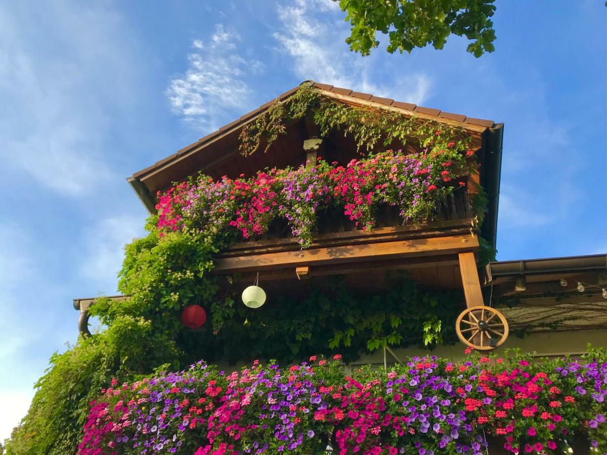 Bergblick Apartment Weilheim in Oberbayern Exterior photo